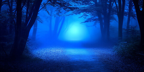 A misty forest path at night is illuminated by an eerie blue light, evoking a mysterious and otherworldly atmosphere, perfect for a fantasy or suspenseful narrative.