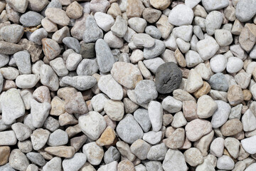 A variety of pebbles in different sizes, shapes, and colors, create a natural, textured background