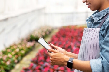 Smart climate control in greenhouse. Smiling african american girl in apron and smart watch holds tablet on plantation of flowers background