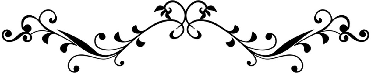 Decorative Swirl Curves Border