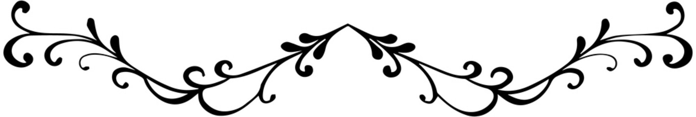 Decorative Swirl Curves Border
