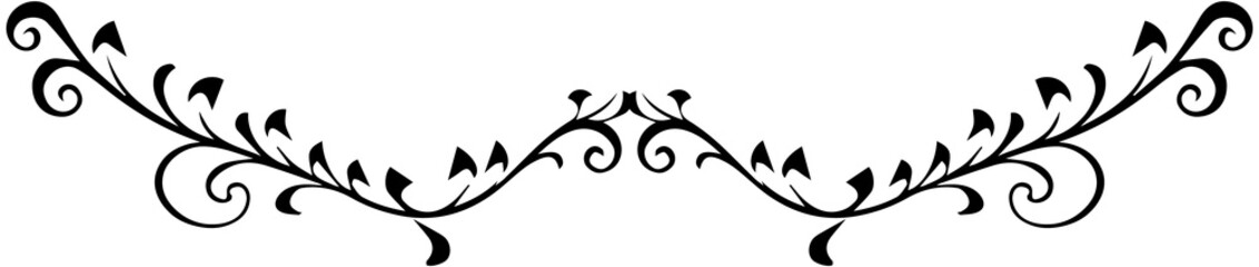 Decorative Swirl Curves Border

