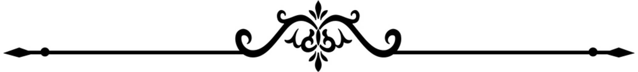 Vintage Elegant Delimiter Line
