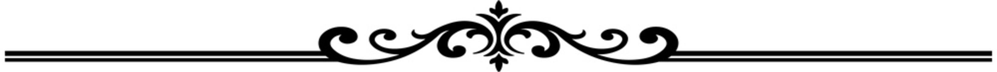 Vintage Elegant Delimiter Line
