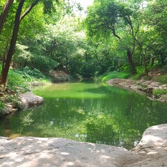 Fototapeta premium Serene Green Pond in a Lush Forest Setting