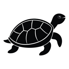 turtle vector illustration