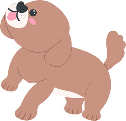 Shih Tzu Dog Cartoon Set in Cute Flat Design with Different Poses and Expressions