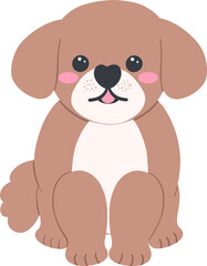 Shih Tzu Dog Cartoon Set in Cute Flat Design with Different Poses and Expressions