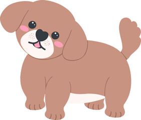Shih Tzu Dog Cartoon Set in Cute Flat Design with Different Poses and Expressions