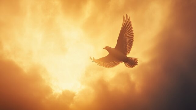 Bird Silhouette Soaring Against a Golden Sunset Sky with Dramatic Clouds in Evening