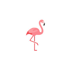 Obraz premium FLAMINGO LOGO