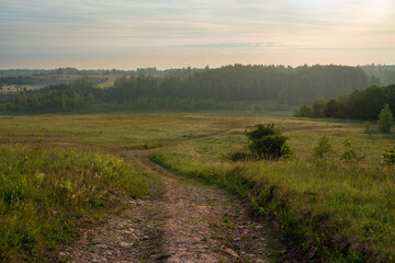 Naklejka premium View of the country road through the Izborsko-Malskaya valley on a sunny summer morning, Izborsk, Pechersk district, Pskov region, Russia