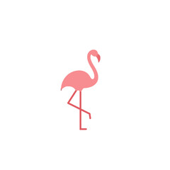 Pink Flamingo