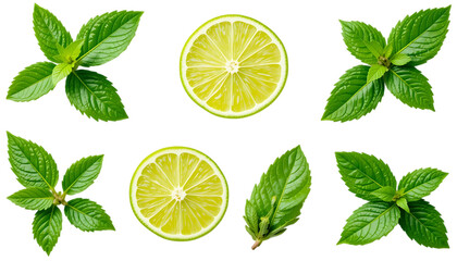 set of Fresh lime and mint leaves isolated on png