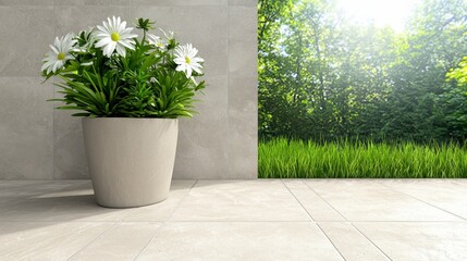 White Daisies in Pot Against Gray Wall with Sunny Green Background