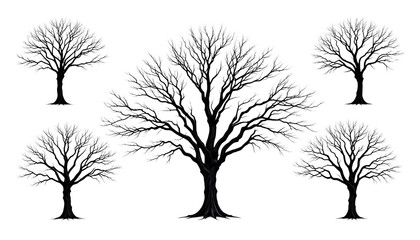 Obraz premium set of Standing alone majestic leafless tree isolated on png 