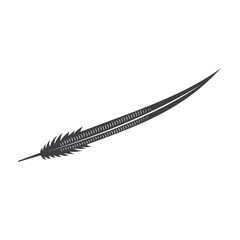 icon of pheasant feathers, vector art.