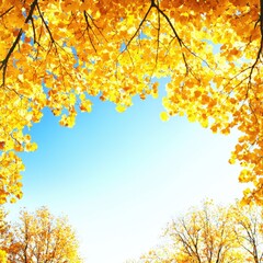 Majestic tree displaying brilliant yellow leaves under a clear blue sky in an autumn landscape