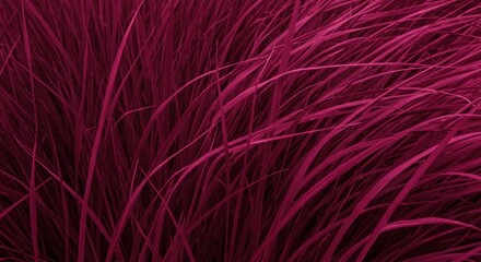 Fototapeta premium Vibrant Magenta Grass in Motion