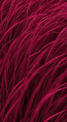 Obraz premium Vibrant Magenta Grass in Motion