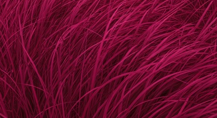 Fototapeta premium Vibrant Magenta Grass in Motion