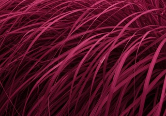 Fototapeta premium Vibrant Magenta Grass in Motion