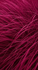Fototapeta premium Vibrant Magenta Grass in Motion