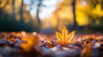 leaf with a background of other blurred leaves, giving a sense of depth and perspective to the photograph.