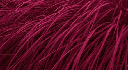 Obraz premium Vibrant Magenta Grass in Motion