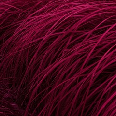 Obraz premium Vibrant Magenta Grass in Motion