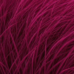 Obraz premium Vibrant Magenta Grass in Motion