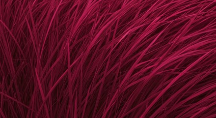 Fototapeta premium Vibrant Magenta Grass in Motion
