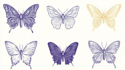 Six colorful butterflies, nature illustration, white background, design element