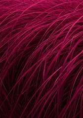 Fototapeta premium Vibrant Magenta Grass in Motion