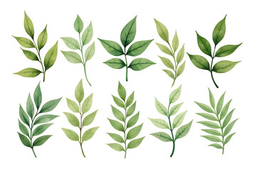Naklejka premium Watercolor Green Leaves PNG | Botanical Foliage Clipart