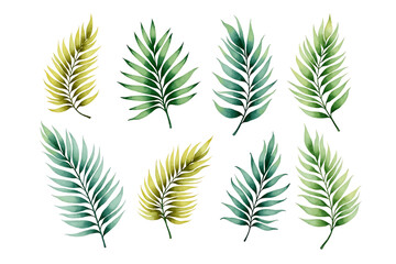 Watercolor Tropical Palm Leaves Set - Green Botanical Illustration