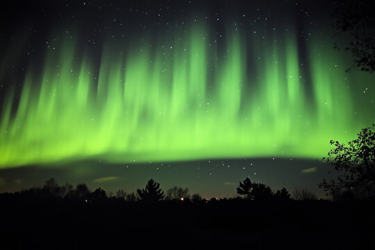 green lights shining in the sky over the forest 