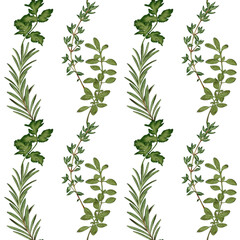 Watercolor seamless pattern with vertical stripes of rosemary, thyme, cilantro and other herbs. Ideal for packaging, textiles, cuisine, restaurant and gastronomic design.