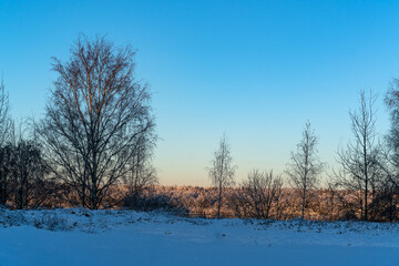 Winter landscapes in the park.