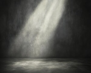 A dimly lit room featuring a rough concrete floor, with shadows playing across the surface. The walls are bare, adding to the industrial ambiance, creating a moody atmosphere.