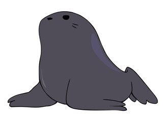 まるっこい アシカ