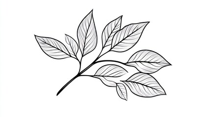 Fototapeta premium Simple line art branch with leaves