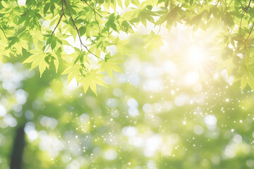 Serene spring sunlight filters through vibrant green maple leaves, creating a magical, bokeh-filled background perfect for springtime themes.