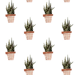Watercolor and pencil seamless pattern. Snake plant hand drawn illustration. Color illustration of Sansevieria Trifasciata Laurentii. Interior plant.