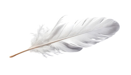 Obraz premium White feather floating png