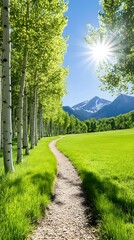 Scenic pathway through vibrant aspen trees leading to majestic snow-capped mountains under a bright...