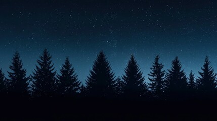 Fototapeta premium Silhouetted pine trees against a twilight sky filled with stars