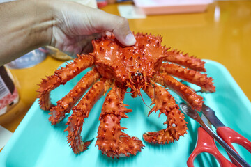Delicious Hanasaki Crab from Nemuro, Hokkaido - A Feast for the Senses
