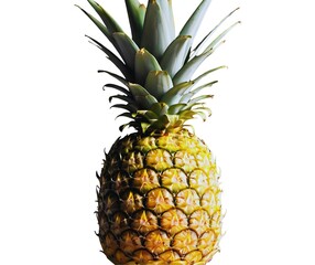 Fototapeta premium pineapple isolated on white