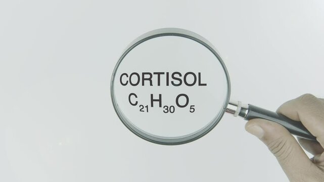 Cortisol text highlighted by a magnifying glass in a hand on a white background, symbolizing focus on stress hormone, body response, and health regulation